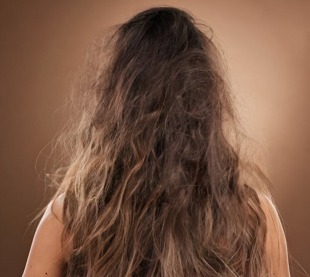 istockphoto-1511087250-1024x1024-2-2